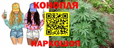 прущие грибы Краснодар