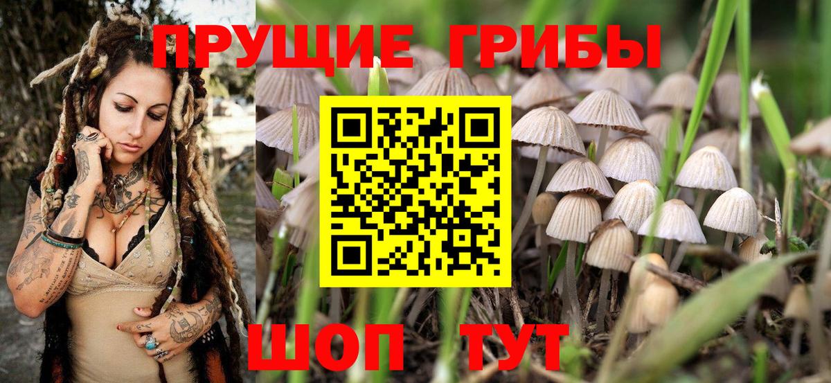 Галлюциногенные грибы MAGIC MUSHROOMS  Вход с VPN  Ишимбай 