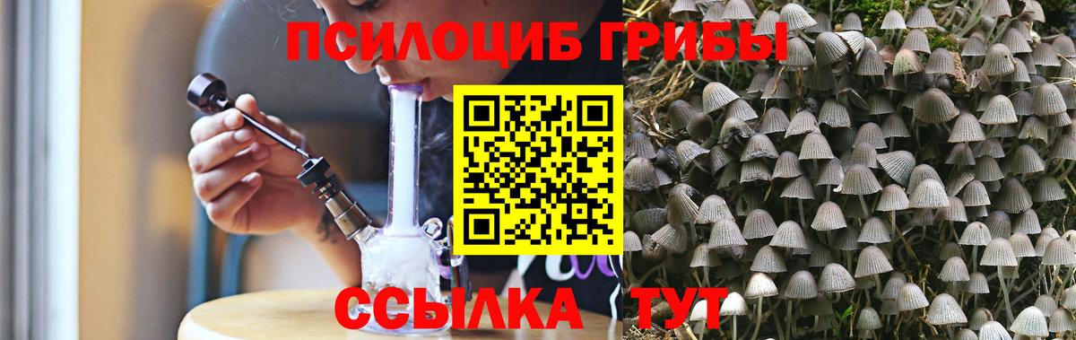 Псилоцибиновые грибы Cubensis Ишимбай